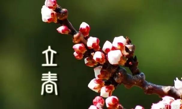 今日立春发朋友圈心情说说，适合立春发朋友圈文案句子