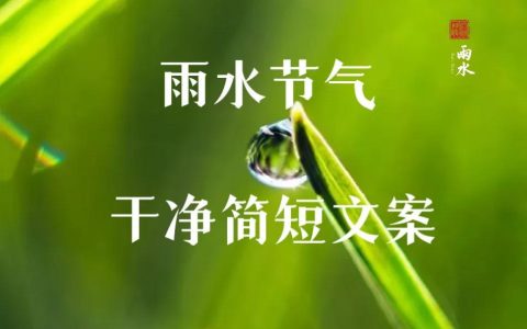 雨水节气朋友圈文案简短温馨（适合雨水节气发朋友圈的句子）