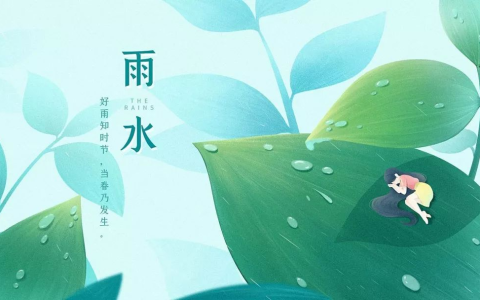 雨水节气适合种什么蔬菜？