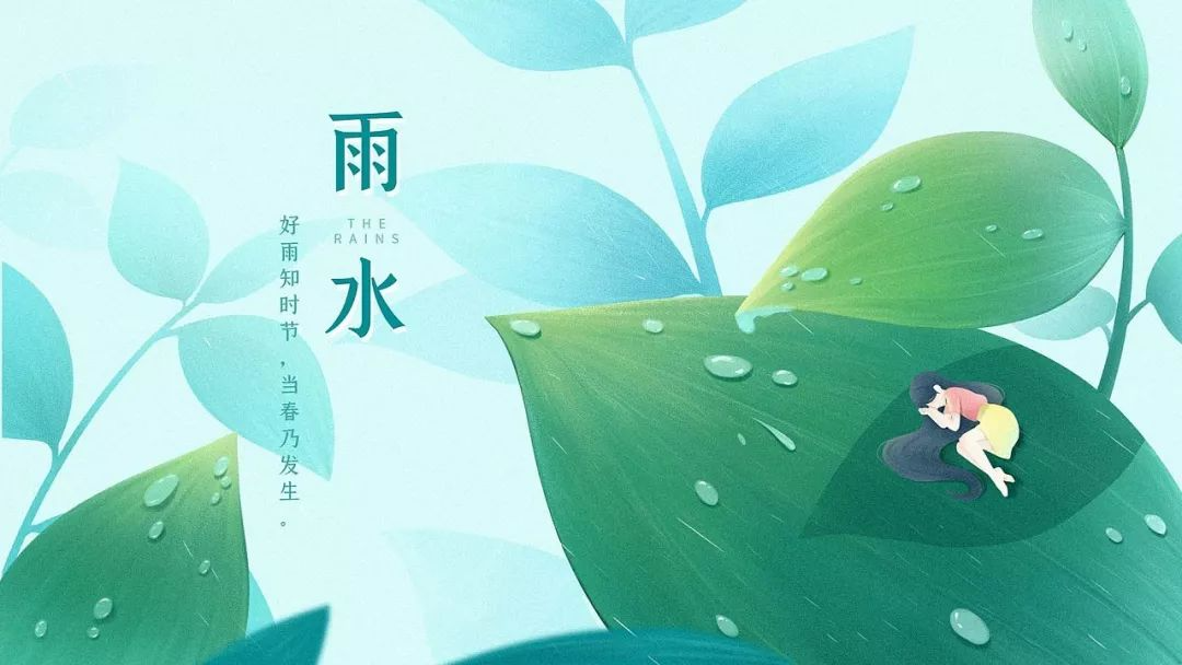 雨水节气适合种什么蔬菜？