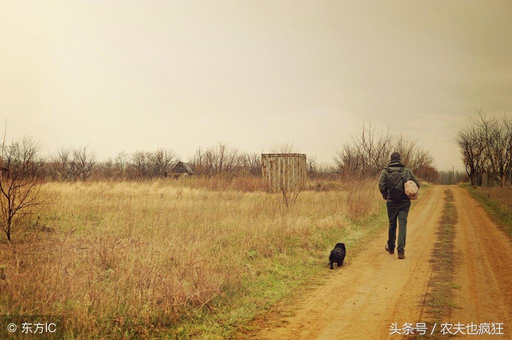 农村俗语“立冬阴一冬温，立冬晴一冬凌”什么意思？