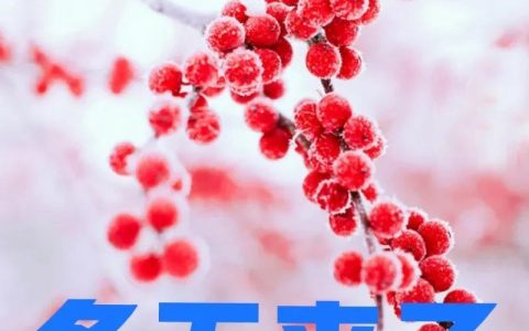 立冬打雷民间有什么说法（立冬打雷要反春的意思）