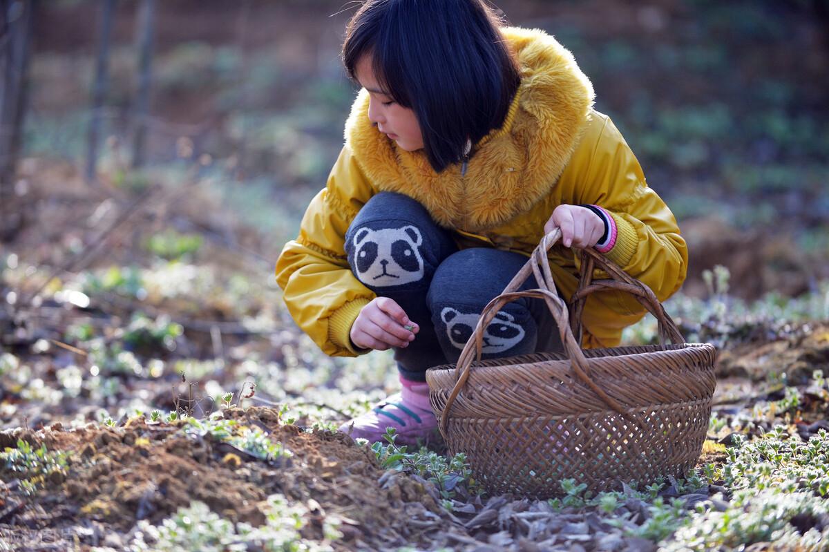 霜降后哪些蔬菜更好吃（霜降当季蔬菜有哪些）