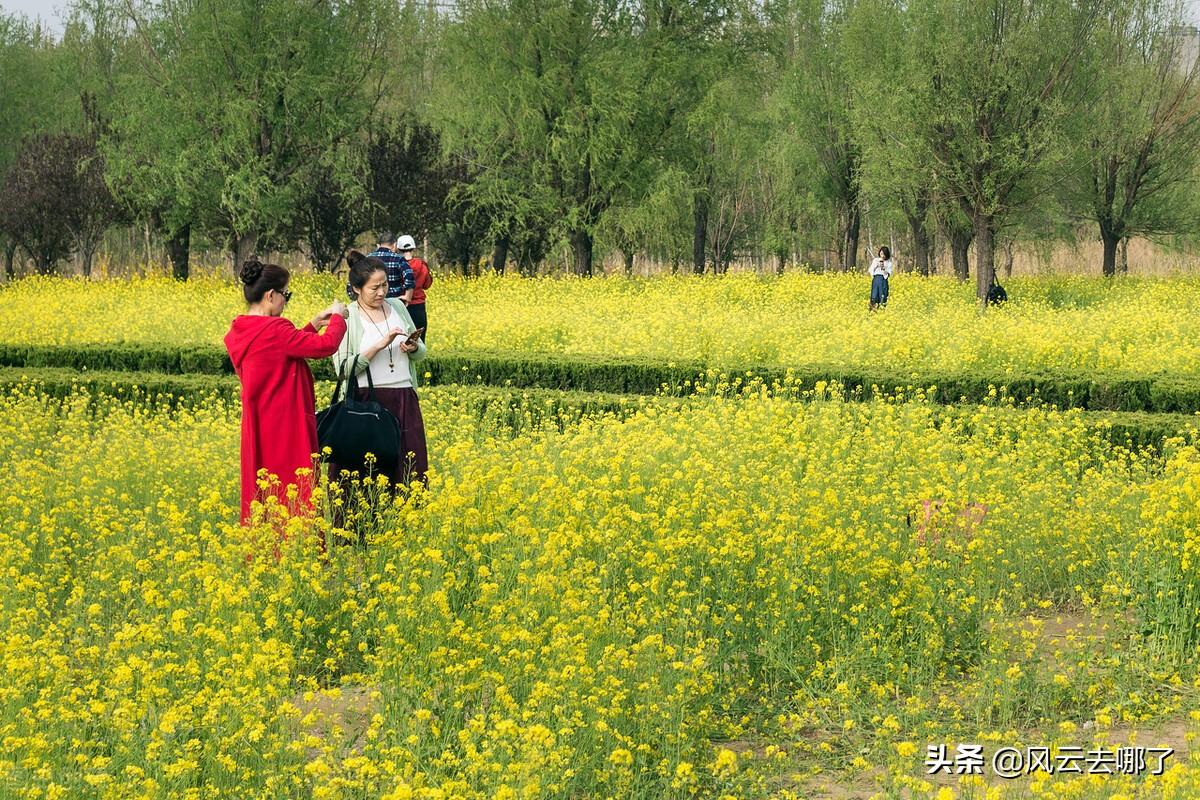 清明既是节日又是节气怎么理解呢