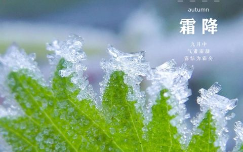 霜降节气的含义是什么二十四节气（霜降吃什么养生）