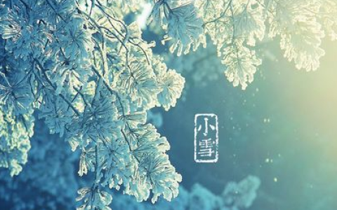 小雪和大雪节气的区别和联系