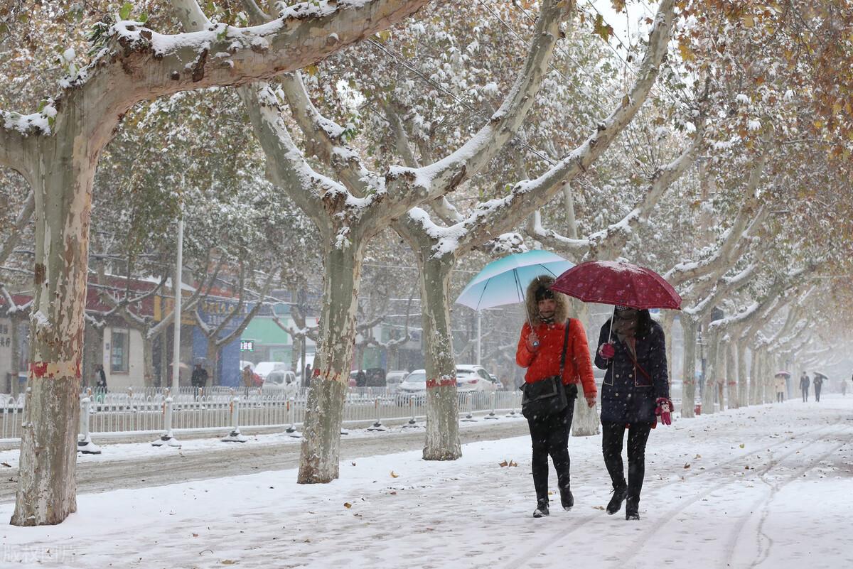 节气小雪下雨好吗（小雪节气晴天好还是下雨好）