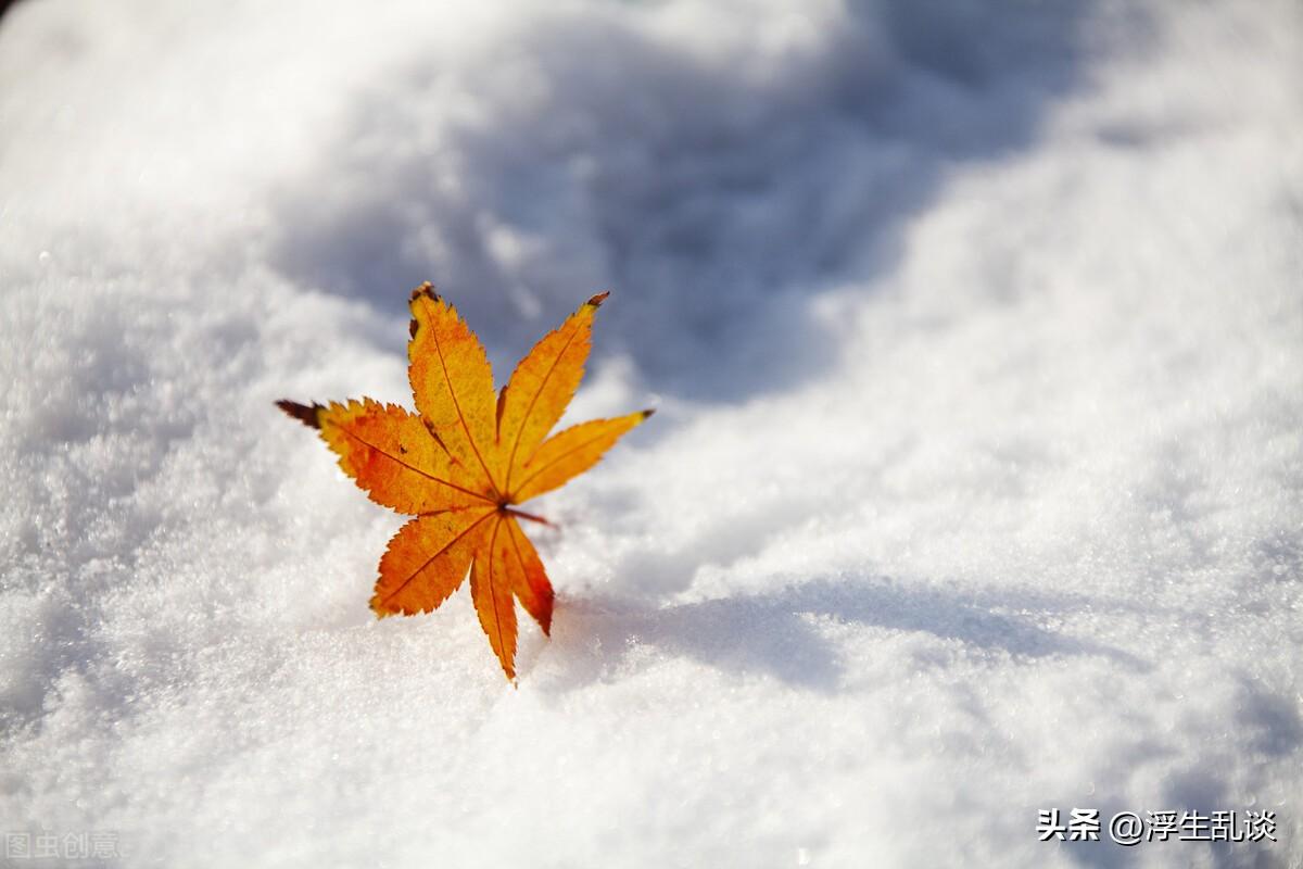 小雪节气创意文案短句（关于二十四节气小雪的说说）