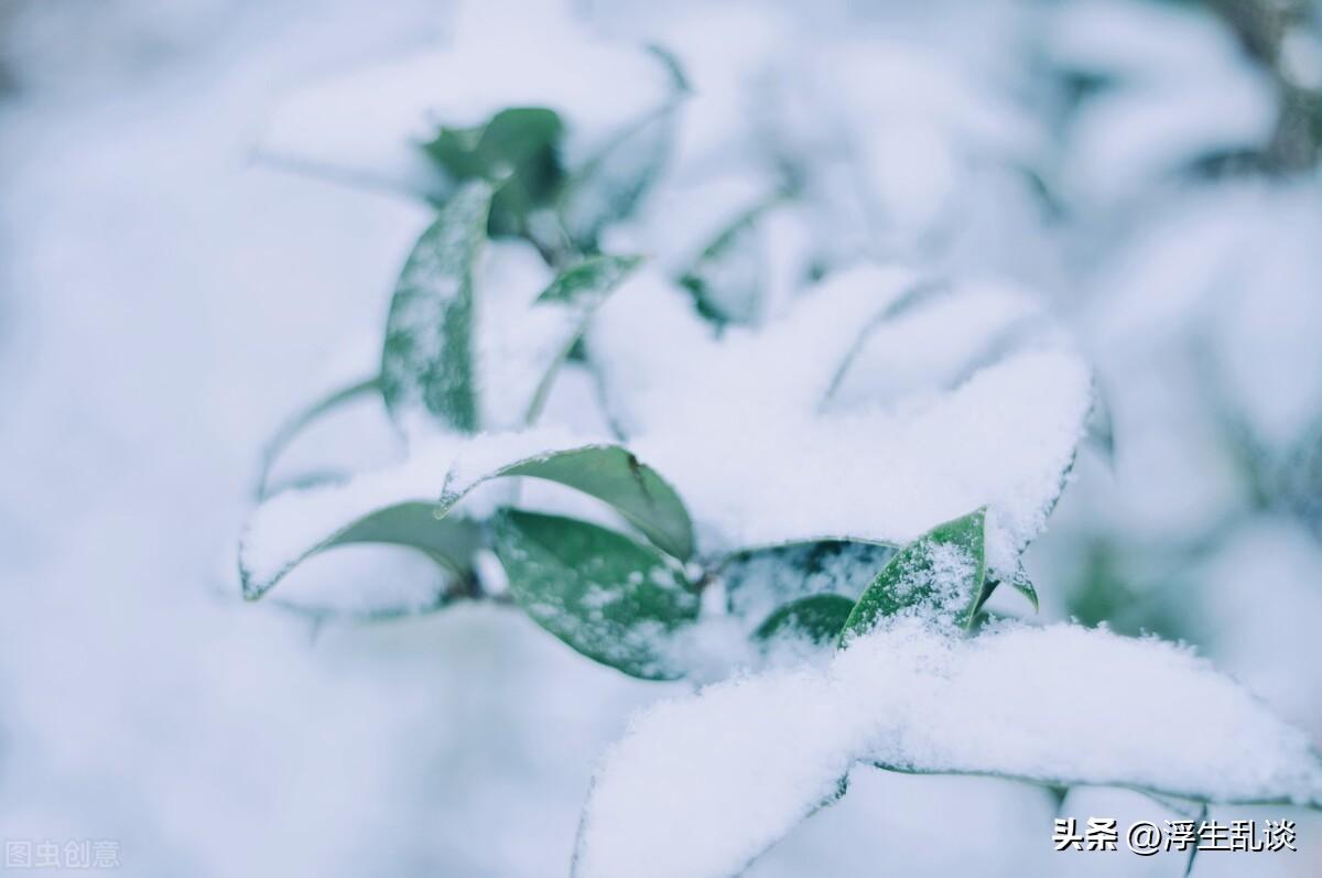 小雪节气创意文案短句（关于二十四节气小雪的说说）