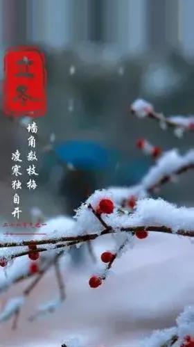 小雪节气的农事活动有哪些?