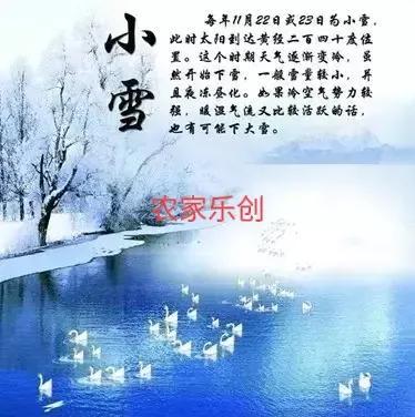 小雪节气的农事活动有哪些?