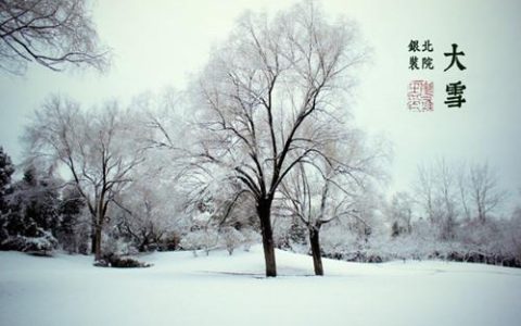 大雪节气的由来和特征（大雪节气的特点是什么）