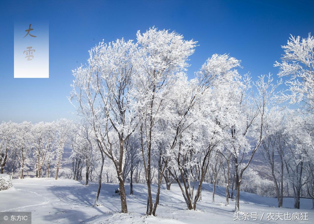 关于大雪节气的农谚或俗语有哪些？