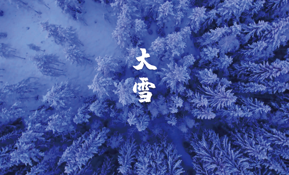 最经典的十首大雪节气诗词（古人描写大雪节气的经典诗句）