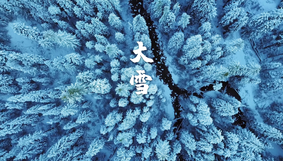 最经典的十首大雪节气诗词（古人描写大雪节气的经典诗句）