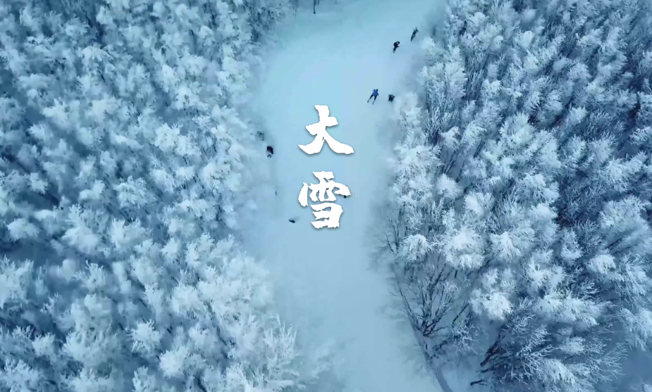 最经典的十首大雪节气诗词（古人描写大雪节气的经典诗句）