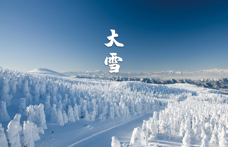 最经典的十首大雪节气诗词（古人描写大雪节气的经典诗句）