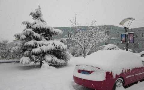 农村谚语一九一场雪猪狗不吃黑什么意思