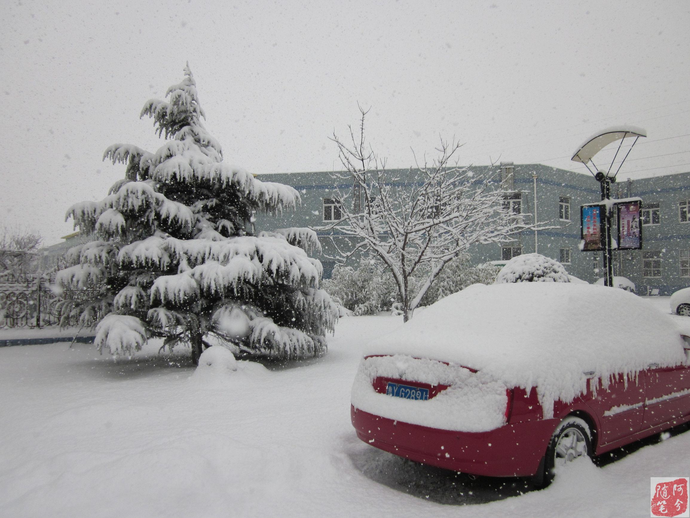 农村谚语一九一场雪猪狗不吃黑什么意思