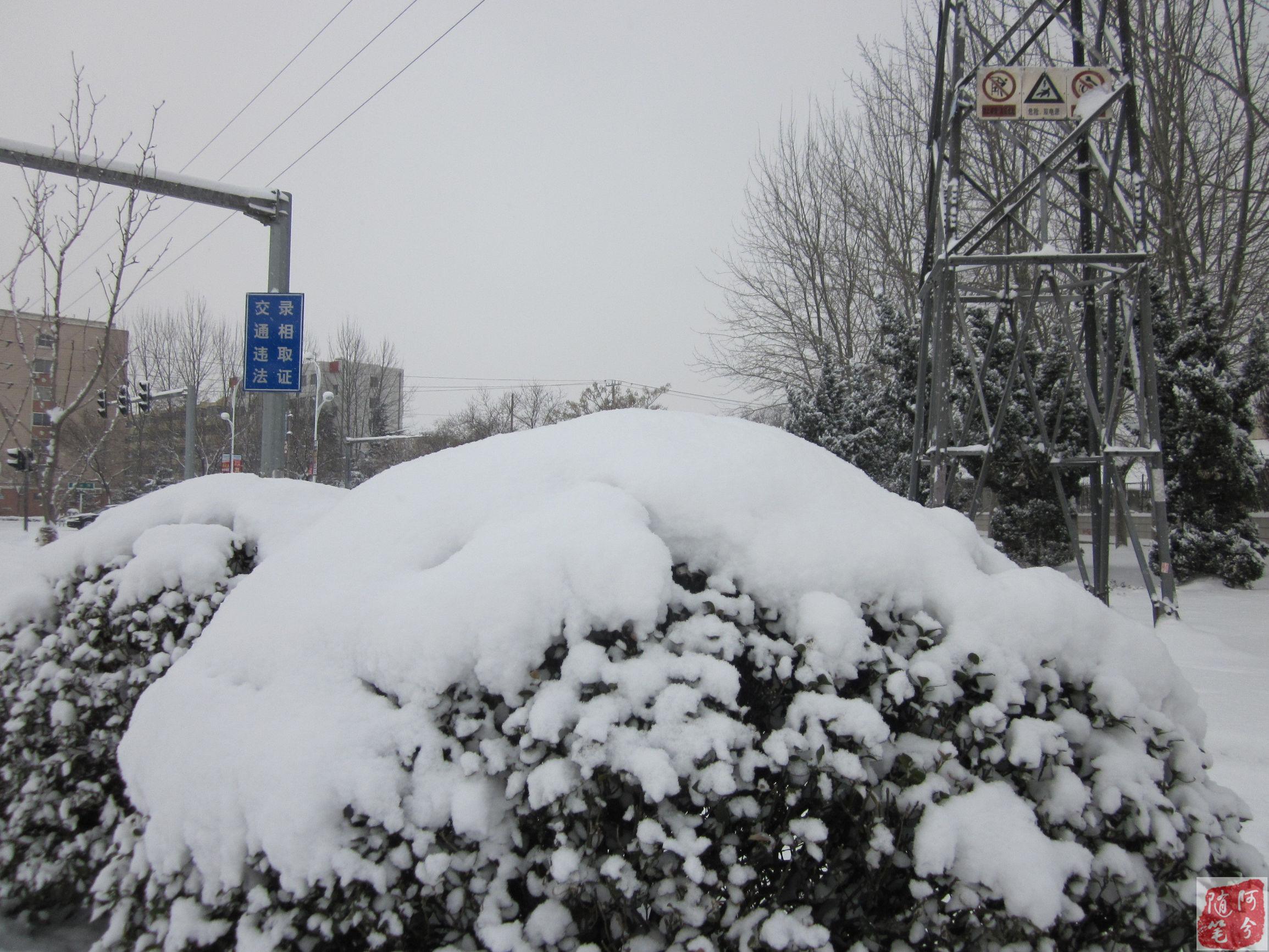 农村谚语一九一场雪猪狗不吃黑什么意思