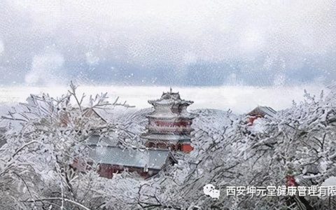 大雪节气吃什么食物最好?（大雪节气养生小知识）