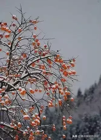 大雪节气的古诗词名句有哪些（描写24节气大雪的古诗）