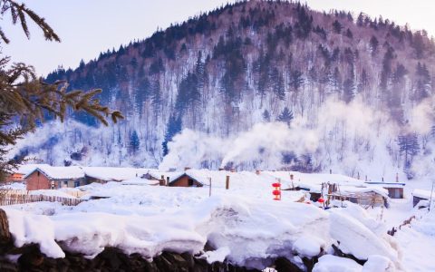 大雪节气的诗句古诗大全精选