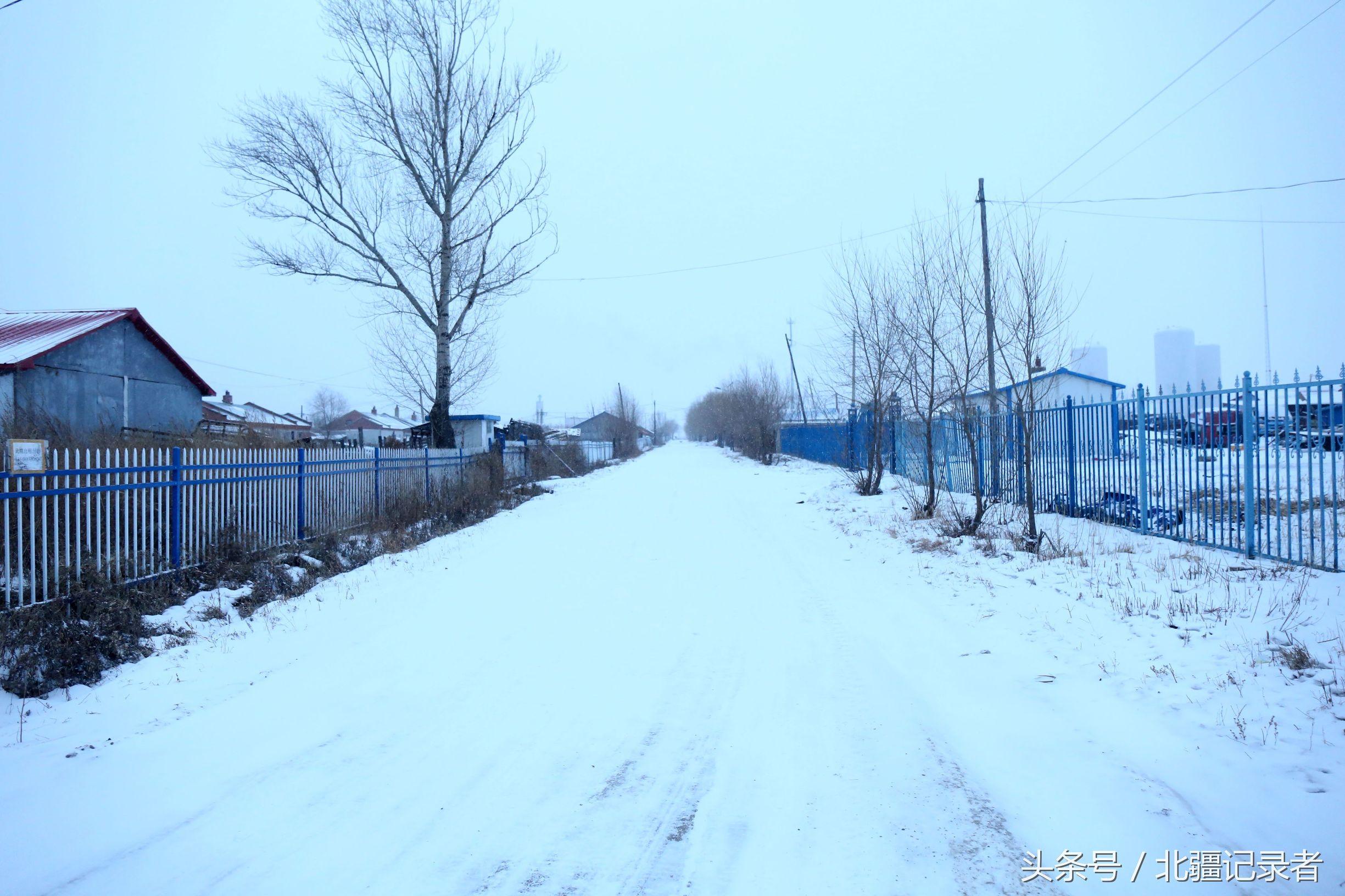 东北小屯子被白雪覆盖，宅基地有半晌地大，车子披棉被，街道空空