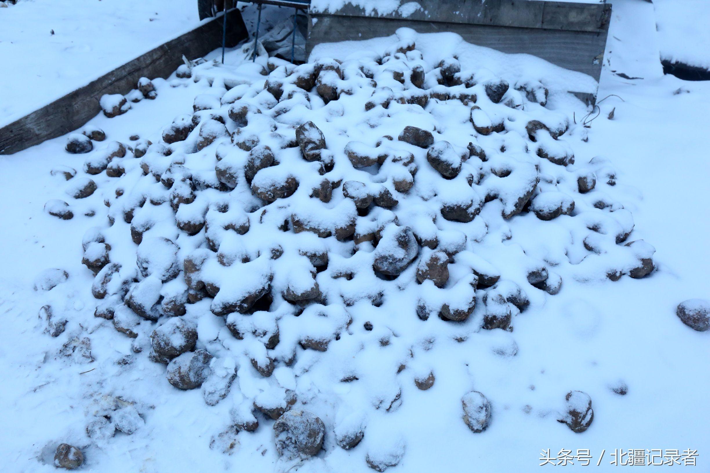 东北小屯子被白雪覆盖，宅基地有半晌地大，车子披棉被，街道空空