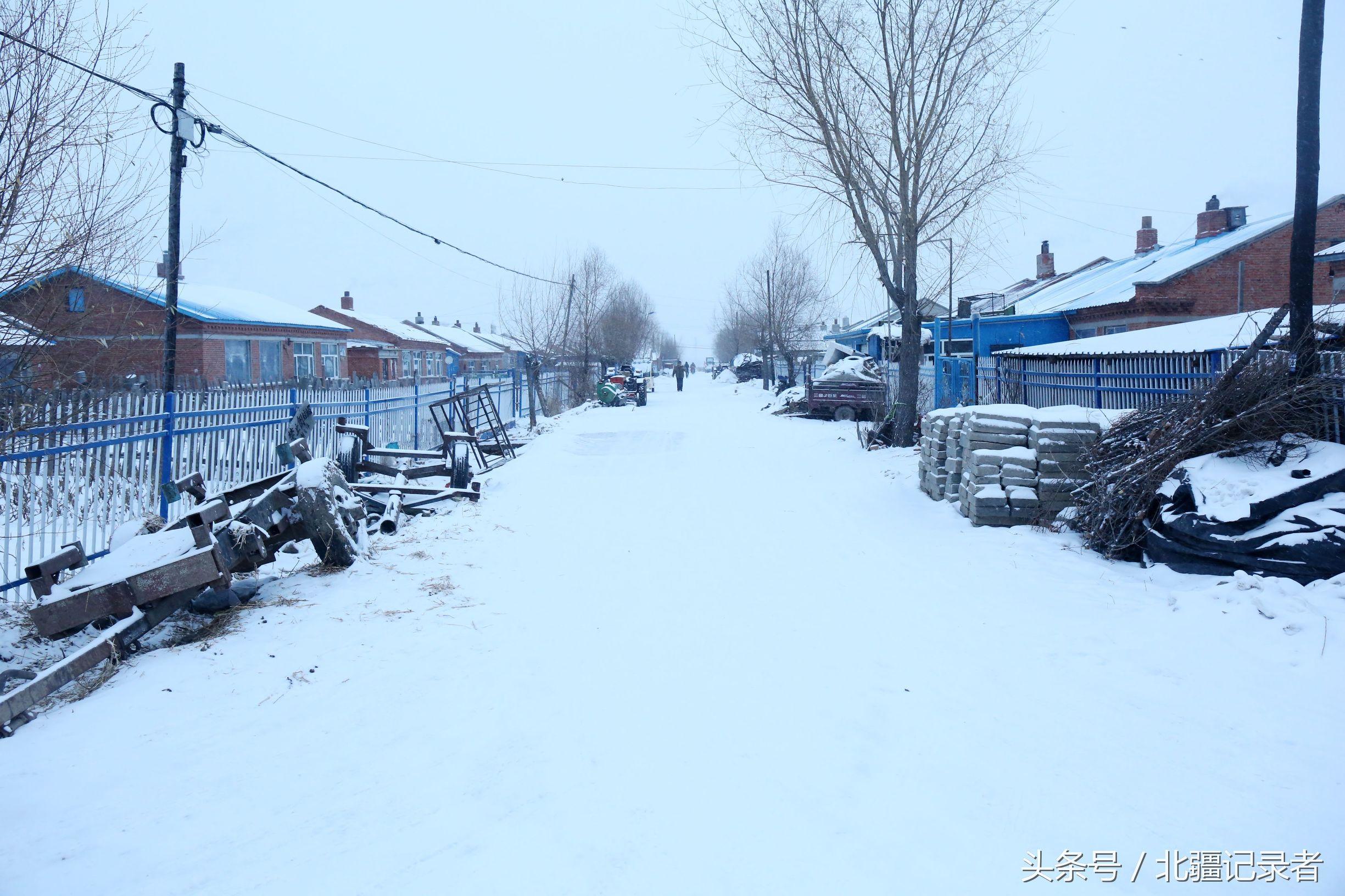 东北小屯子被白雪覆盖，宅基地有半晌地大，车子披棉被，街道空空