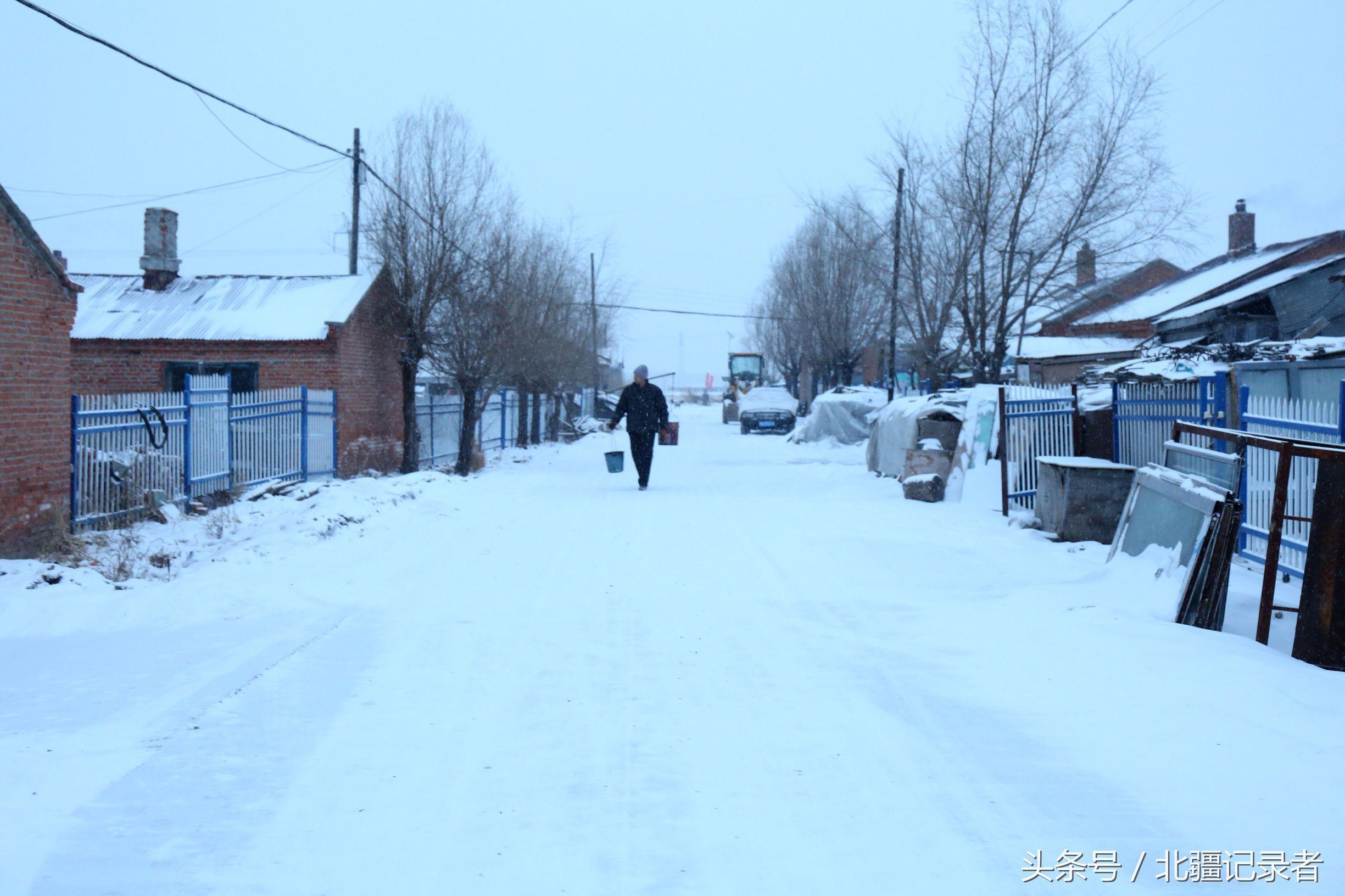 东北小屯子被白雪覆盖，宅基地有半晌地大，车子披棉被，街道空空