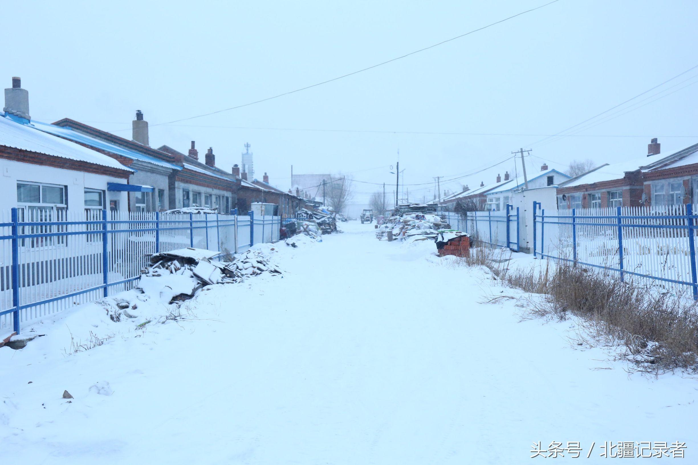 东北小屯子被白雪覆盖，宅基地有半晌地大，车子披棉被，街道空空