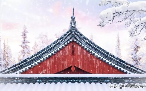 大雪节气中医养生（大雪节气养生注意事项）