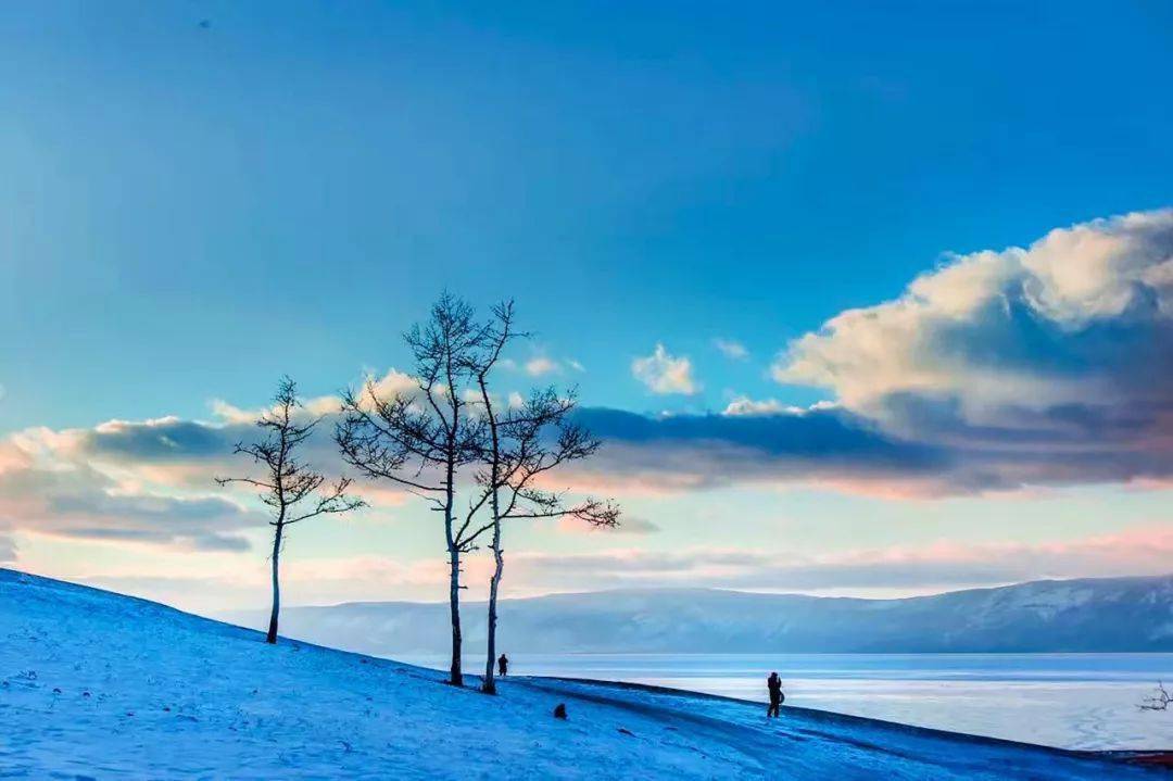 关于小雪节气的古诗30首（二十四节气小雪的诗句）