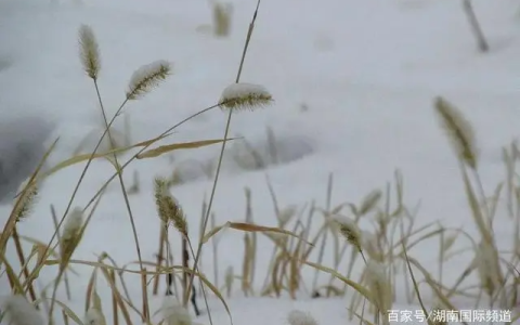 节气小雪的英语怎么写的？