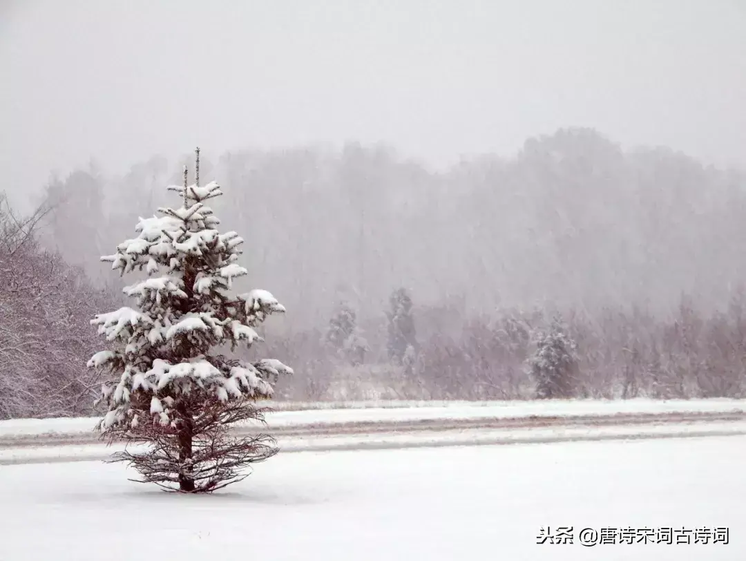 描写大雪纷飞的诗句古诗（描写冬天白雪纷飞的诗句）