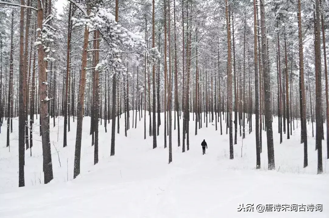 描写大雪纷飞的诗句古诗（描写冬天白雪纷飞的诗句）