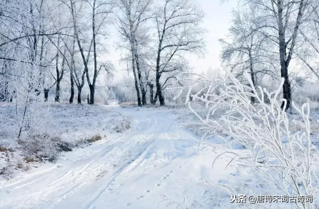 描写大雪纷飞的诗句古诗（描写冬天白雪纷飞的诗句）