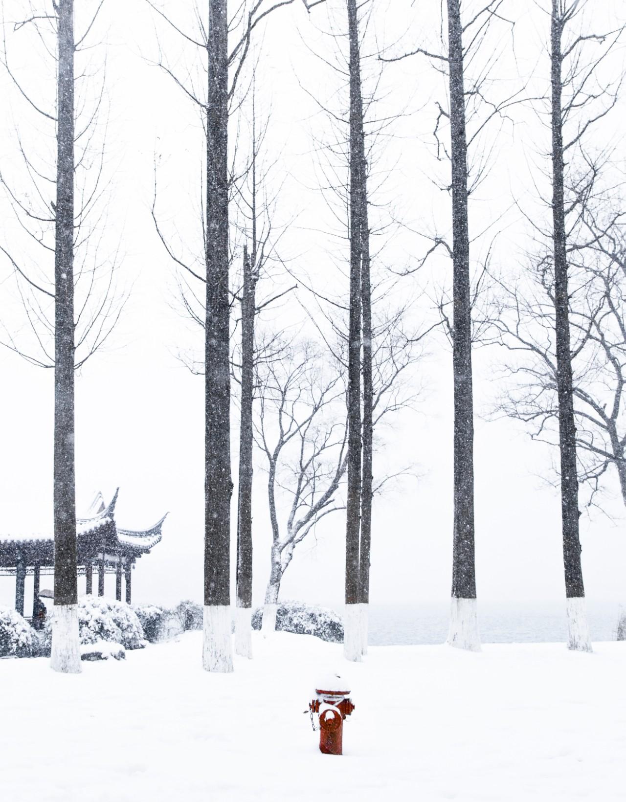 描写二十四节气大雪古诗大全的诗句（大雪节气诗词鉴赏）