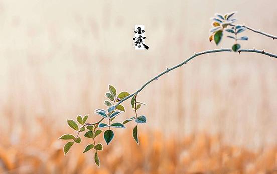 小寒图片大全高清唯美（二十四节气之小寒图片）