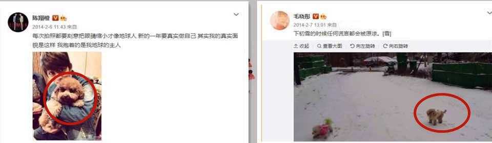 演员毛晓彤个人资料简介图片大全