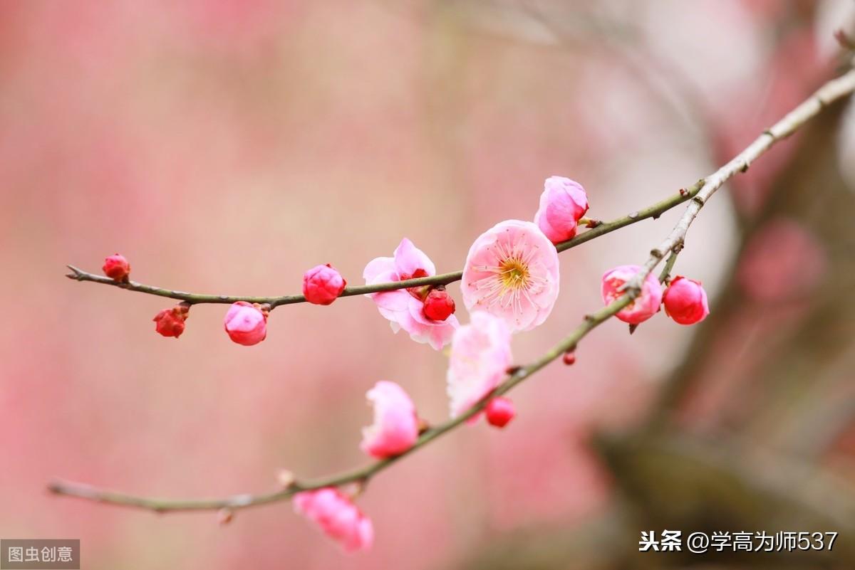 春暖花开作文1000字初中生优秀（春暖花开）