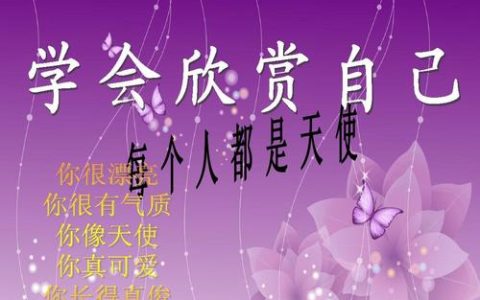 艺术作文600字中考作文《欣赏的艺术》