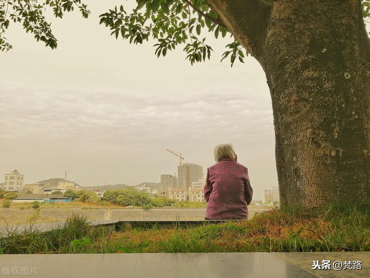 橘子味的夏天读后感（致，这个难忘的夏天）