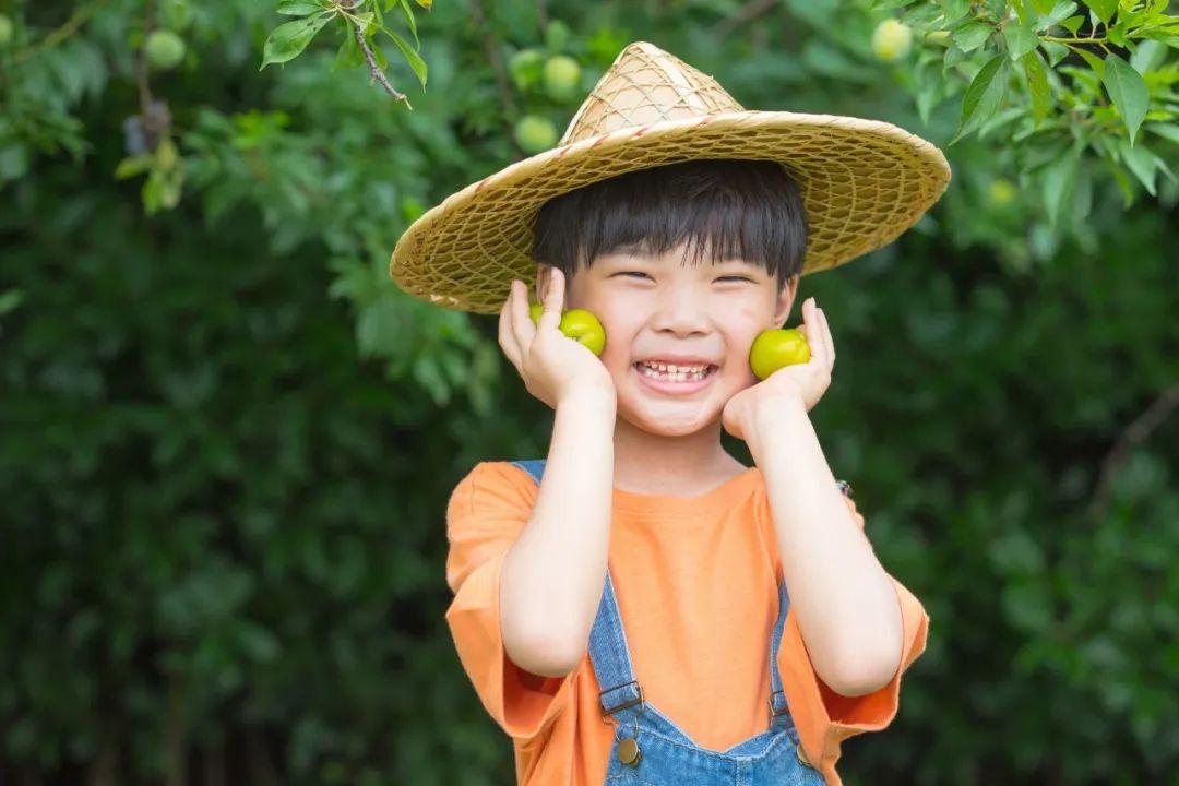 关于劳动的古诗10首，劳动创造幸福生活