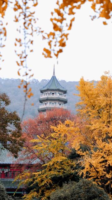 山行杜牧（原文、译文及简析）