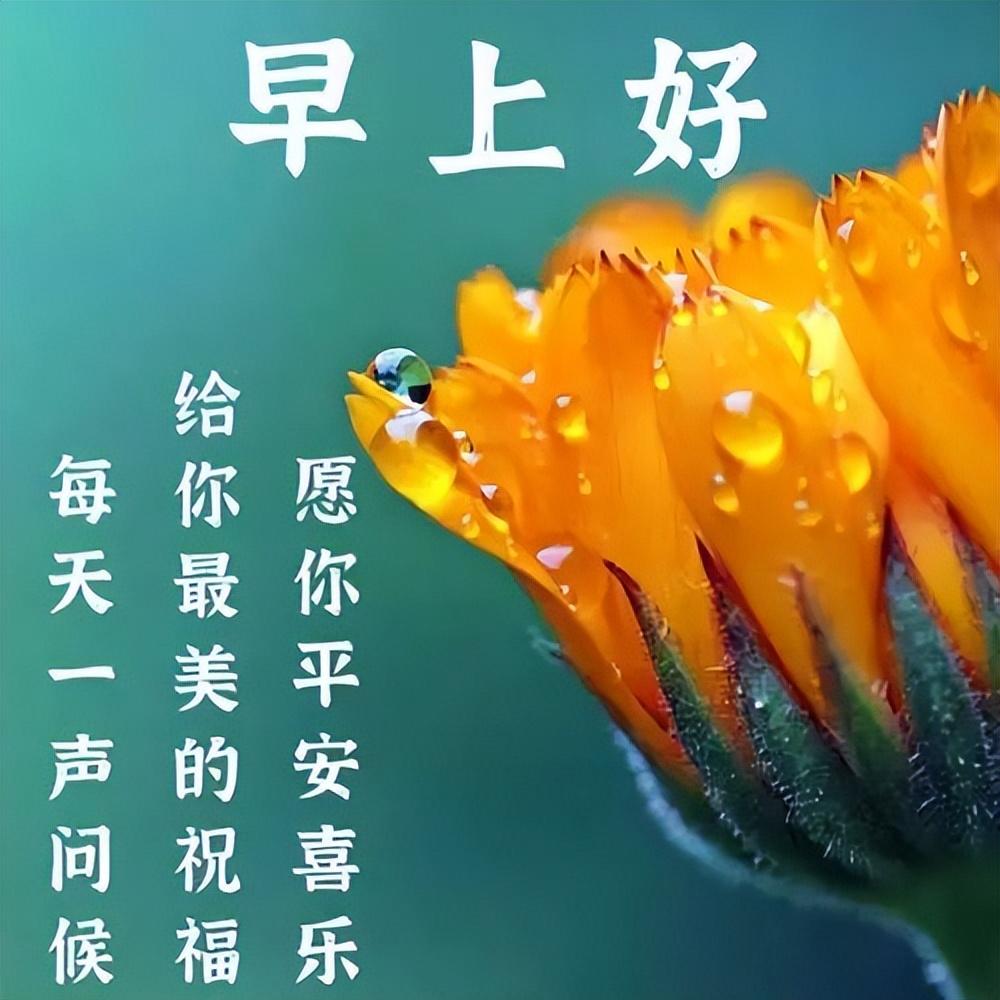 早上好真诚问候语，一声早安，平安吉祥