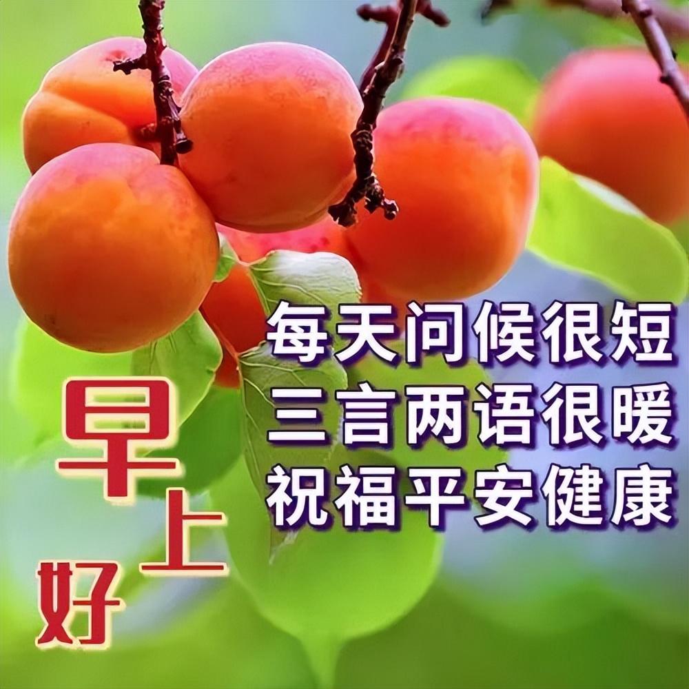 早上好真诚问候语，一声早安，平安吉祥