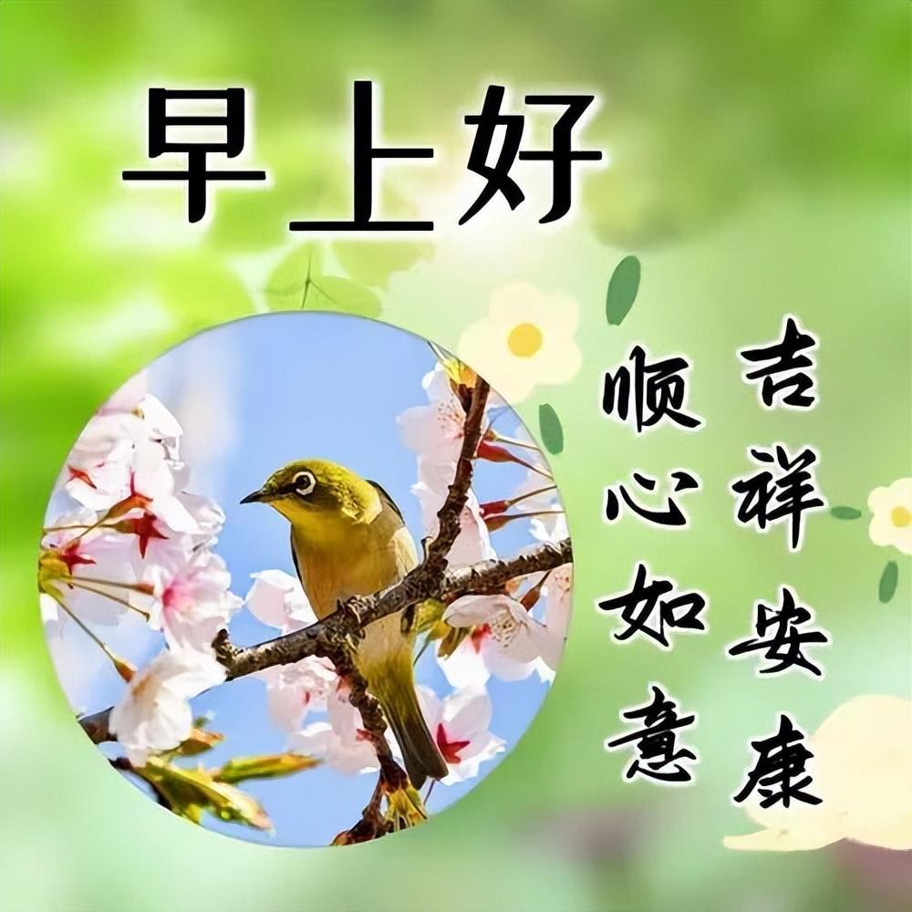 早上好真诚问候语，一声早安，平安吉祥