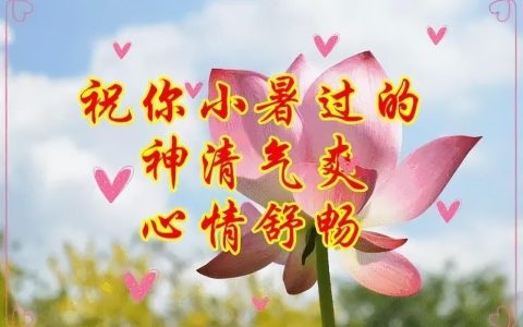 小暑祝福语10句，问候随风轻送